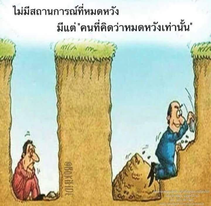 My Image 100