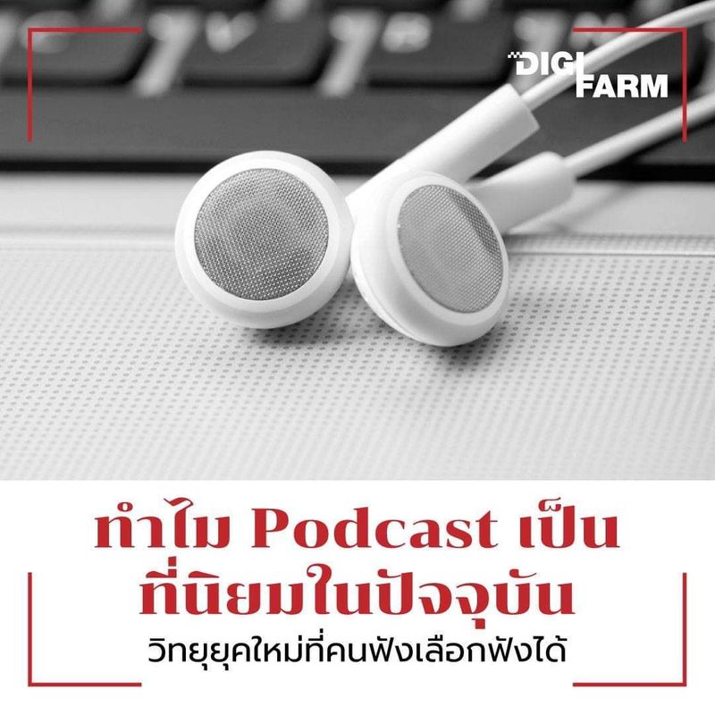 My Image 8