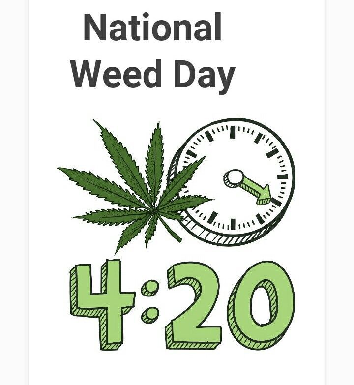 What Is Weed Day What Is Weed Day