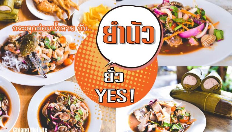 Index - Chiangmai_Life : เชียงใหม่ไลฟ์