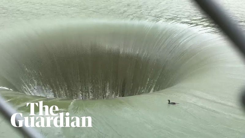 Bird swims headfirst into ‘glory hole’ and reportedly survives