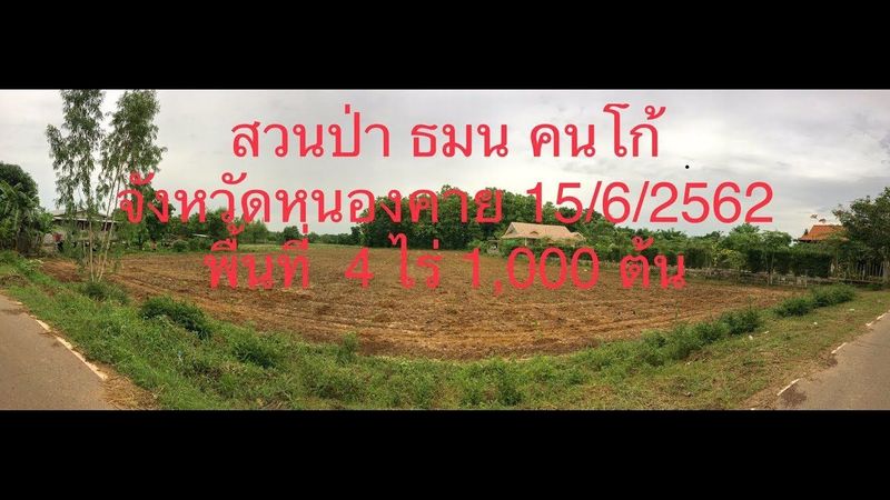 สวนป่า ธมน คนโก้ EP01