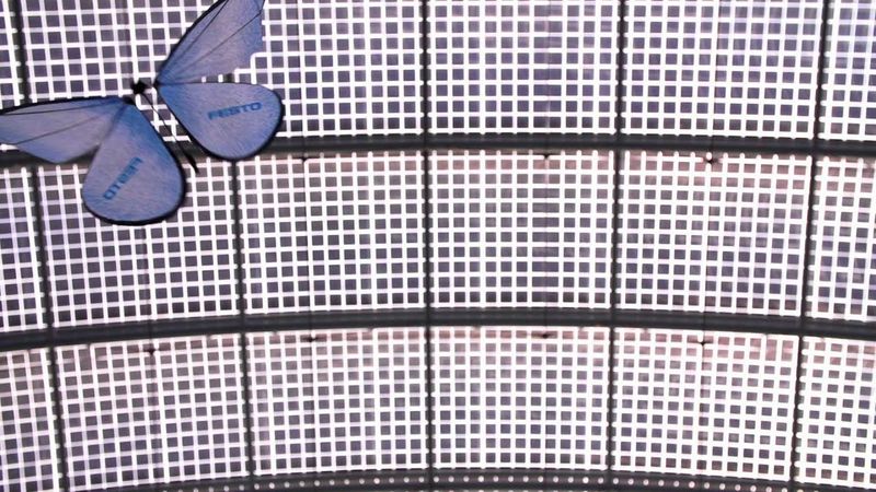 Festo – eMotionButterflies (English)