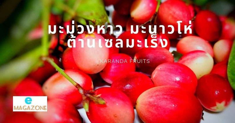 มะม่วงหาว มะนาวโห่ ผลในวรรณคดี ต้านเซลมะเร็ง