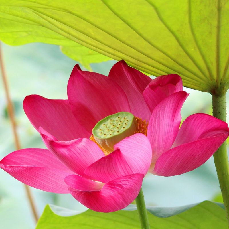 My Image 33
