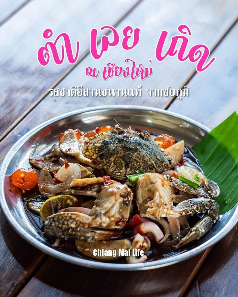 Chiangmailife เชียงใหม่ไลฟ์