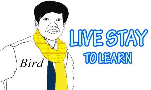 Live Stay