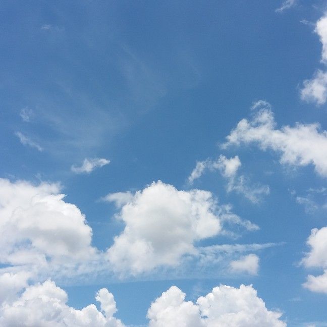 [Nature lover] 💜 เพลงเพราะ 💜 https://m.youtube.com/watch?feature=share ...