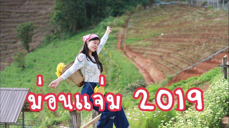 ม่อนแจ่ม เชียงใหม่ 2019| MonJam
