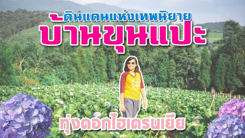 EP.24 ทุ่งดอกไฮเดรนเยีย บ้านขุนแปะ ดินแดนแห่งเทพนิยาย ที่เที่ยวเชียงใหม่ (2019)
