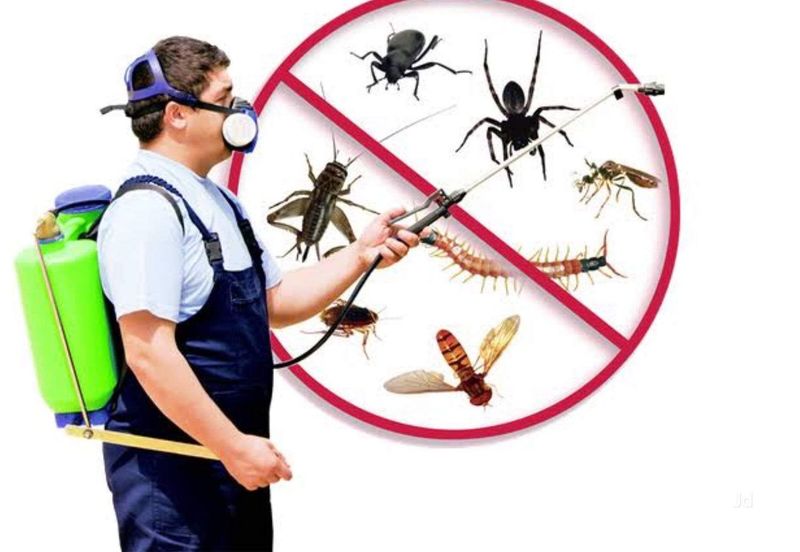 [Hotel Mania คนโรงแรมอยากเล่า] Pest Control หรือเรียกว่า การกำจัดแมลง