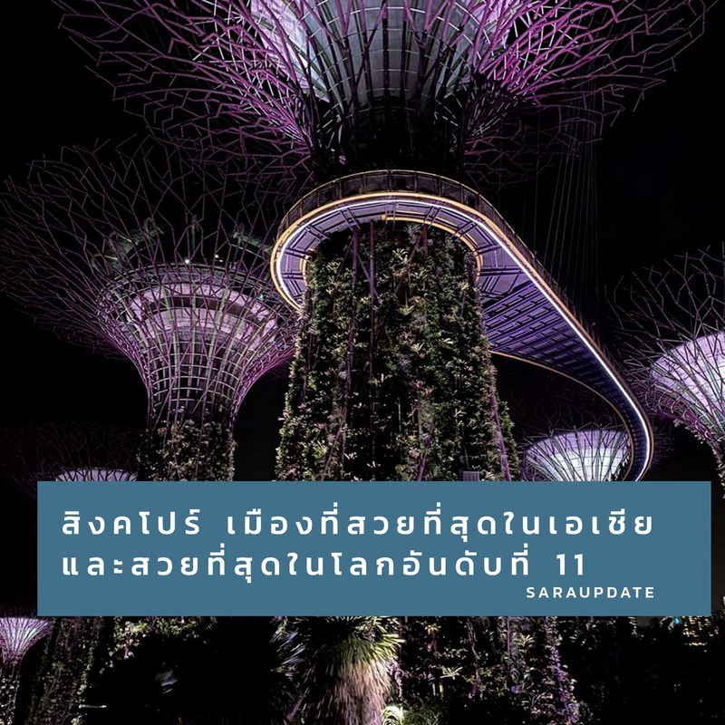 My Image 28