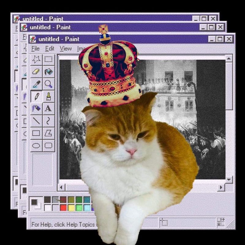My Image 30