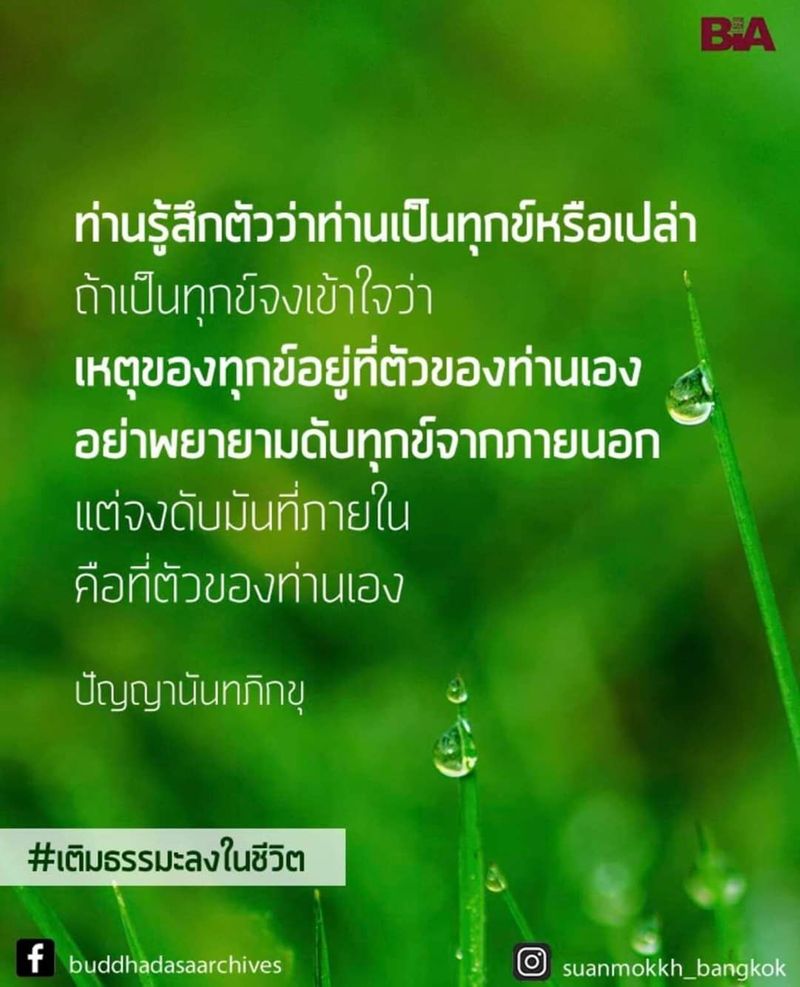 My Image 17