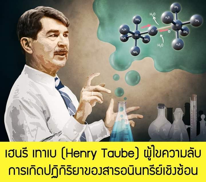 My Image 10