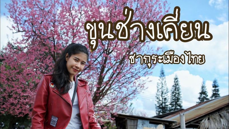 เลาะซ่อกๆ EP.9 | ขุนช่างเคี่ยน ซากุระเมืองไทย