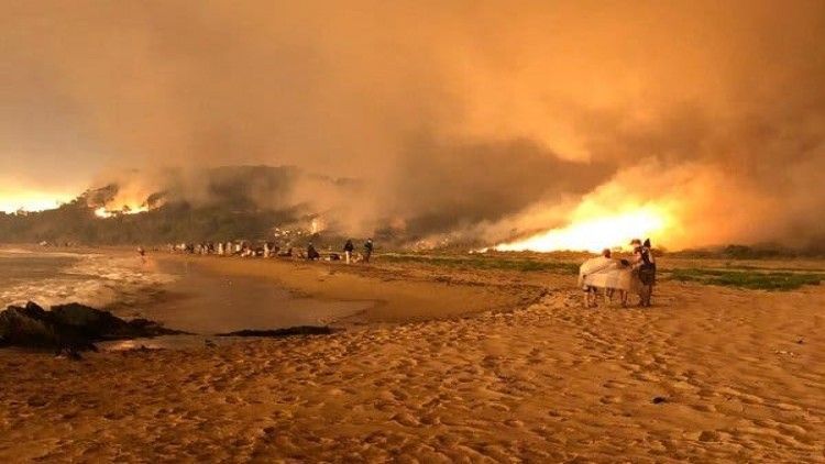 ‘ไฟป่าออสเตรเลีย’ สะเทือนท่องเที่ยว-ปศุสัตว์