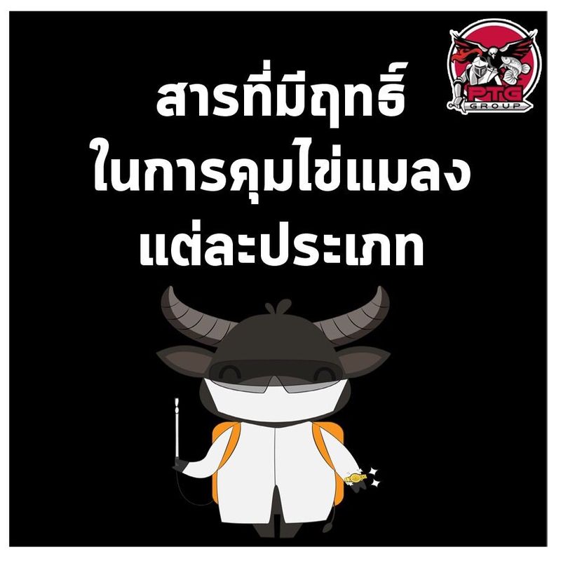 My Image 19