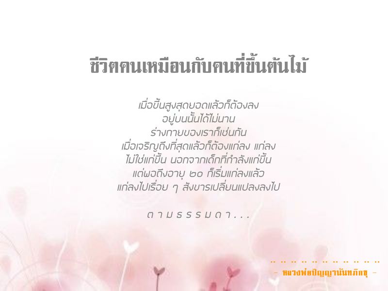 ฝึกใจไปกับธรรมะ] สาระธรรมคำสอนของพระสุปะฏิปันโน พึงนำคำสอนเหล่านี้มาใช้เป็นรากฐานในการดำรงชีวิต  และเพื่อพัฒนาชีวิตให้ดียิ่ง ๆ ตลอดกาล