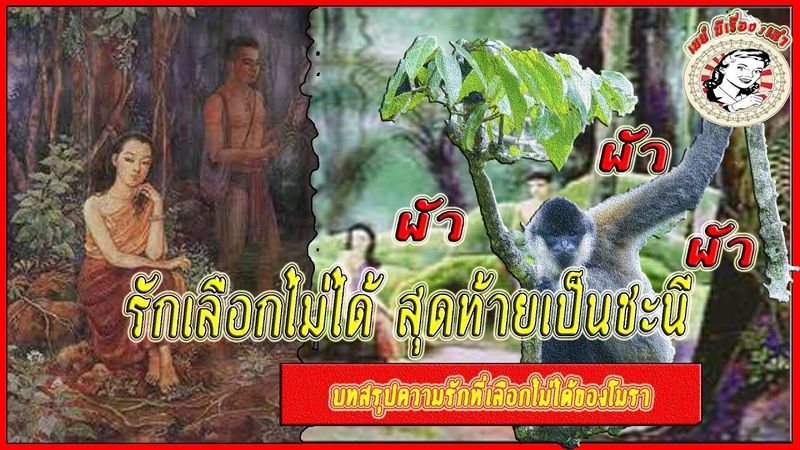บทสรุปของความรักที่เลือกไม่ได้ สุดท้ายกลายเป็นชะนีของนางโมรา