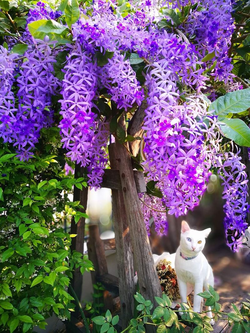 กลิ่นแอมเบอร์ ดอกไม้ และหนัง น้ำหอมกลิ่นใหม่จาก Gucci Beauty, image size:800x1067