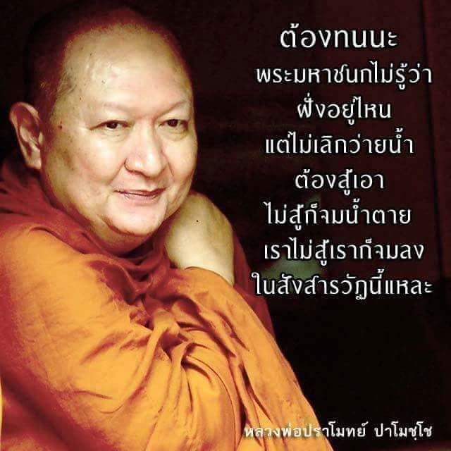 My Image 72