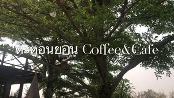 Vith MCOT - ใครผ่านเส้น เชียงใหม่-จอมทอง ผ่าน อำเภอดอยหล่อ... | Facebook