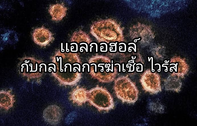 Gscience] เเอลกอฮอล์กับหลักการ ฆ่าเชื้อไวรัส ??? โดยทั่วไปเเล้วเเอลกฮอล์ที่เราใช้ล้างมือ  เพื่อทำความสะอาดมีหลักการทำงานอย่างไร ในบทความนี้เราจะมาพูดถึง  หลักการการฆ่าเชื้อของเเอลกอฮอล์กันนัครับ