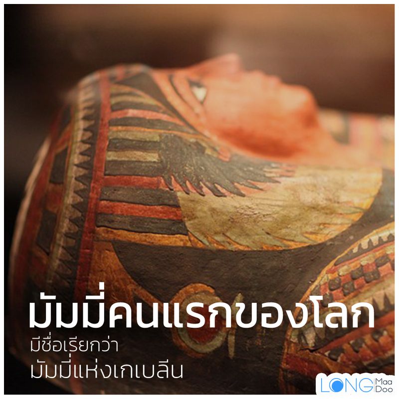 My Image 31