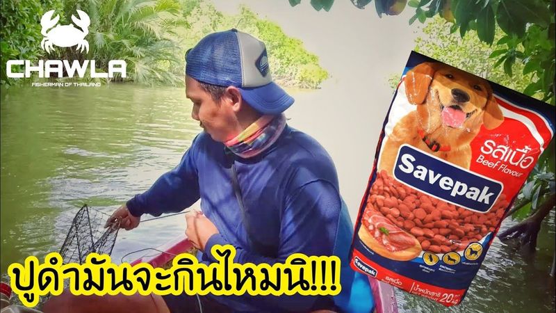ขโมย ”อาหารหมา” ล่าปูทะเล จะรุ่งหรือจะร่วง // ชาวเล