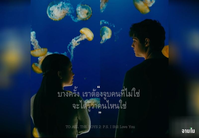 จานไม