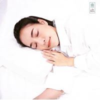 Larn Mhon ล้านหมอน : หมอน ยางพารา หมอน สุขภาพ Pillow Natural Latex