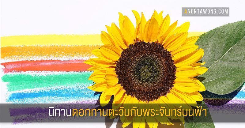 Anontawong’s Musings