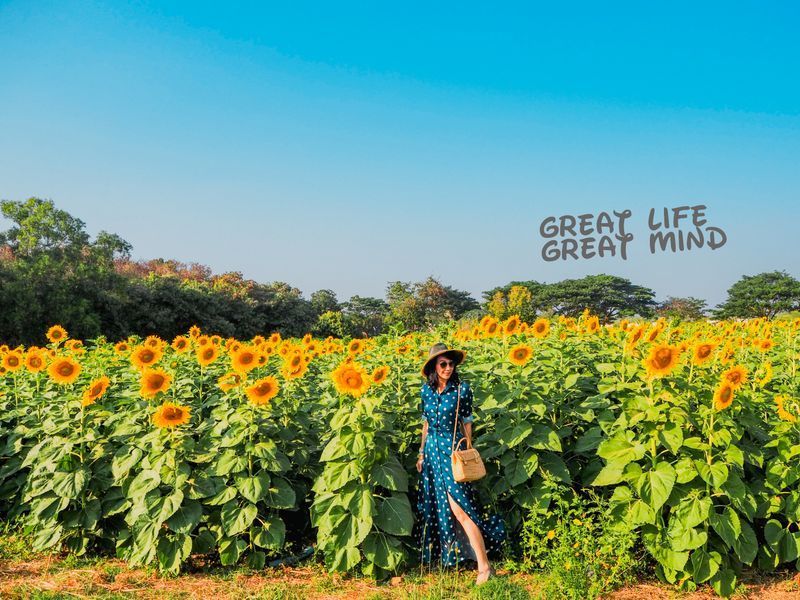 GREAT LIFE GREAT MIND