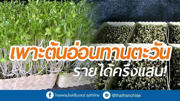 ThaiFranchiseCenter