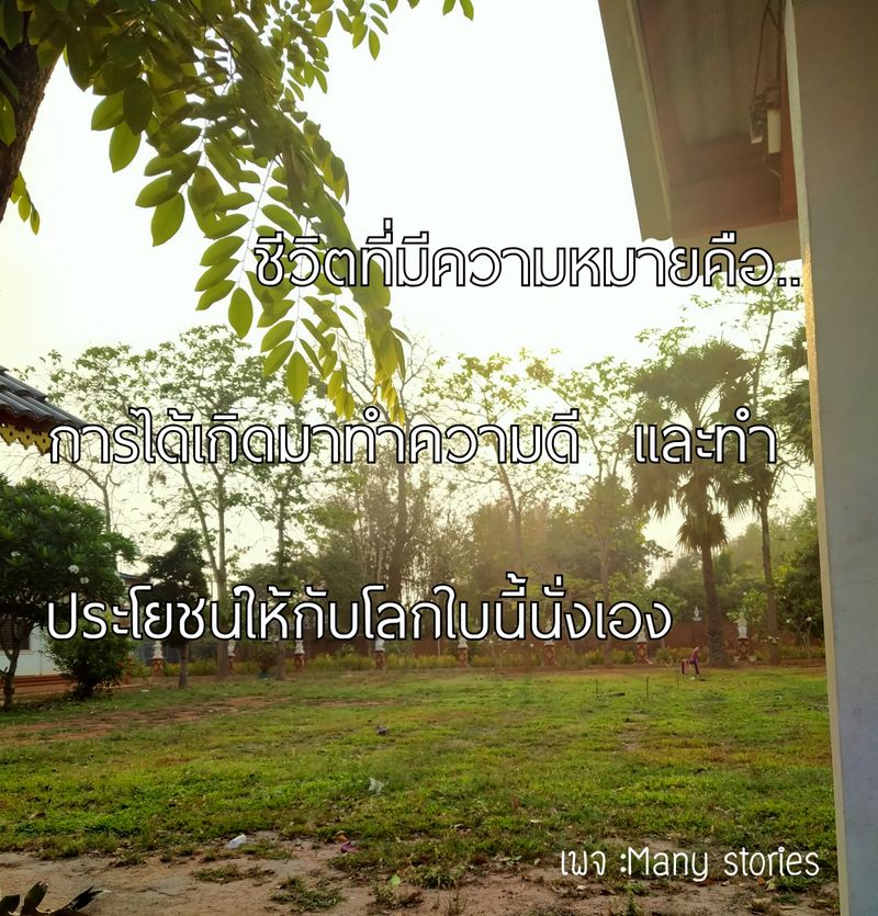 [Many stories] " คนเรามักจะมองว่าเกิดมาเพื่อหาความหมายของชีวิต เเต่