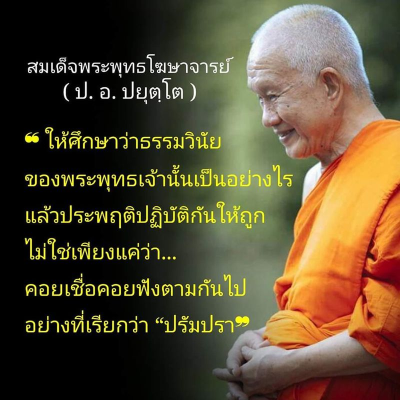 My Image 16