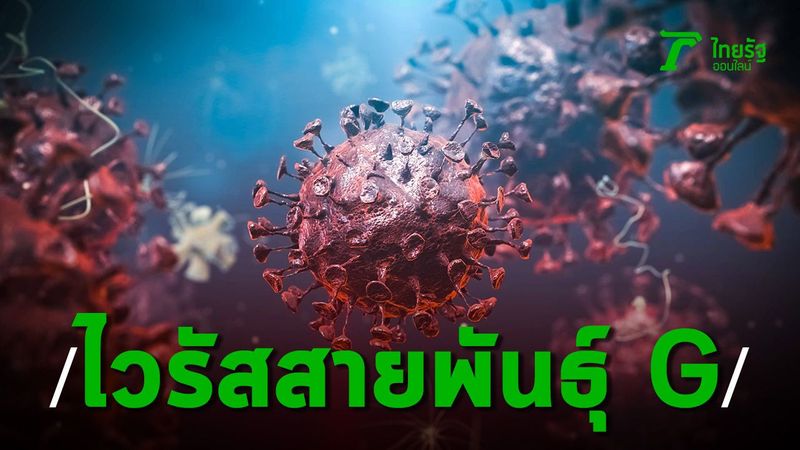″โควิด-19″ สายพันธุ์ G ติดง่าย ลามเร็ว ต้องลบล้างทุกทฤษฎี