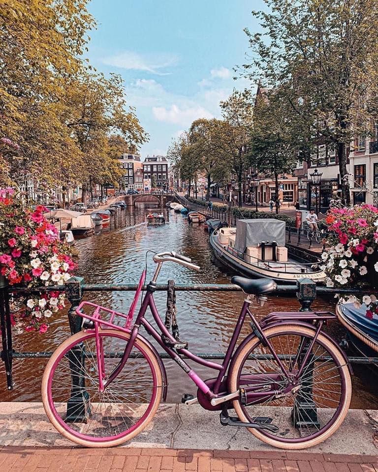 My Image 36