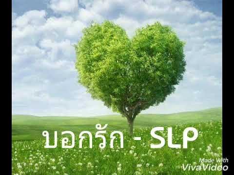 บอกรัก - SLP