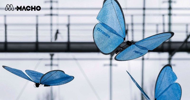 Drone Butterfly หุ่นยนต์ที่จำลองการบินจากผีเสื้อจริง เทคโนโลยีสอดแนมทหารสุดล้ำแห่งยุคดิจิตอล - TheMacho