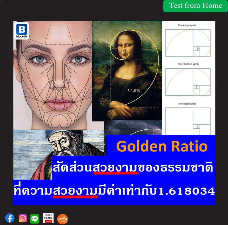 [เกม Test from Home] Golden Ratio สัดส่วนสวยงามของธรรมชาติ ที่ความสวย ...