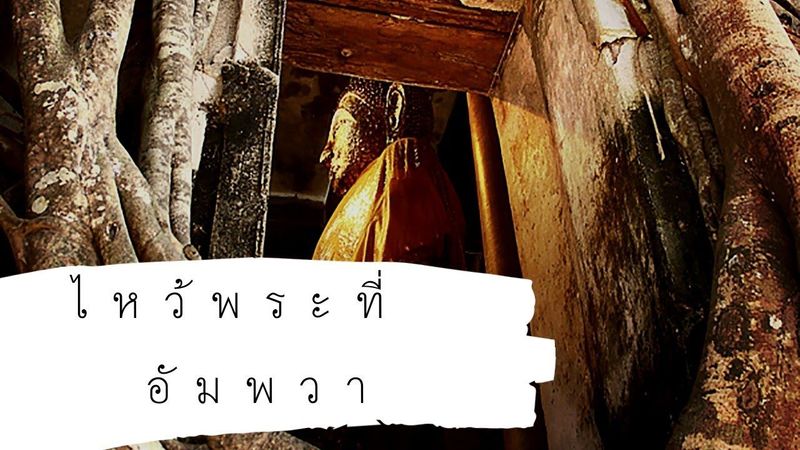 ล่องเรือ ไหว้พระที่อัมพวา ep.2 | POST ติดลม