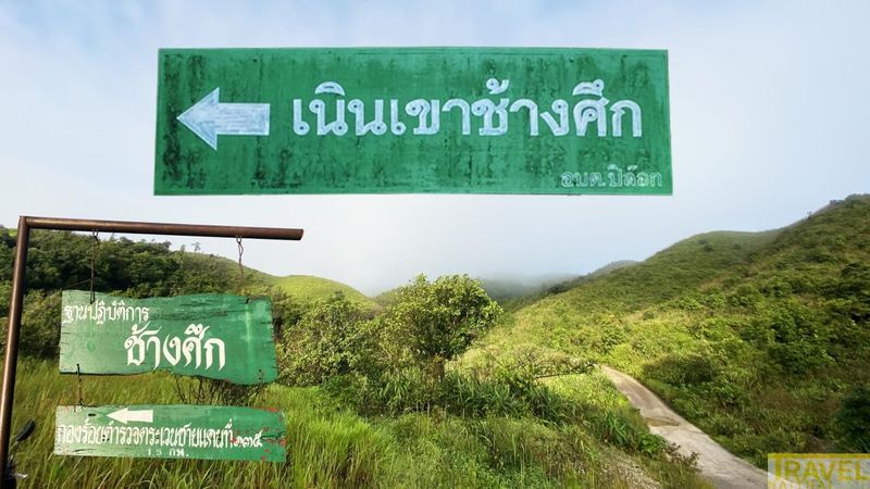 ชมทะเลหมอก เนินช้างศึก
