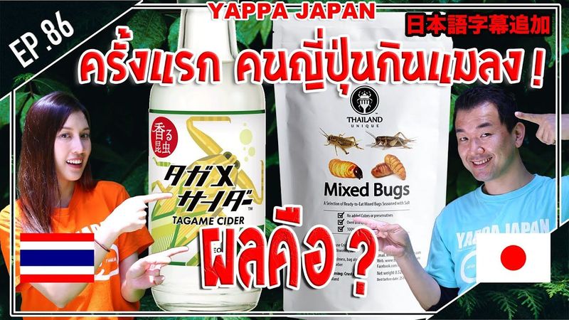 【 แมลงทอดขายในญี่ปุ่น⁉︎ タイの昆虫食が上野に】 เมื่อให้คนญี่ปุ่นลองกินแมลงทอด ปฏิกิริยาก็จะเป็นแบบ...... EP.86