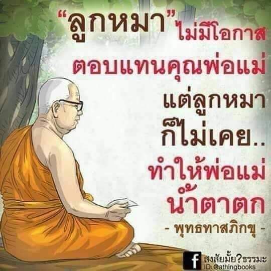 My Image 70