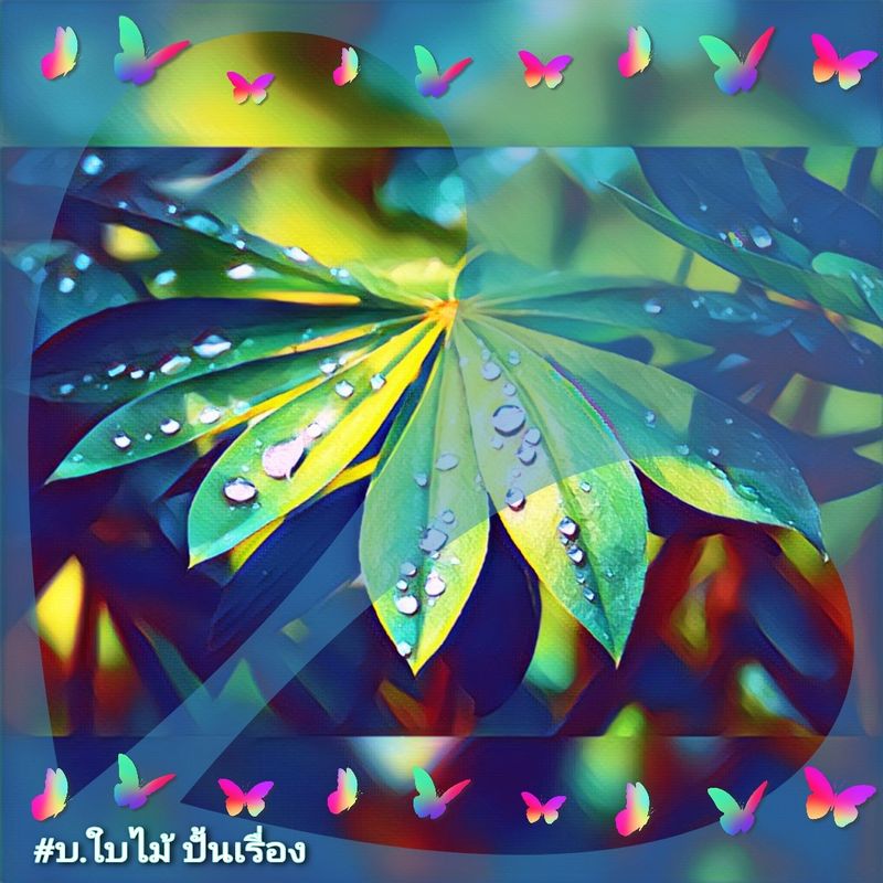 My Image 1