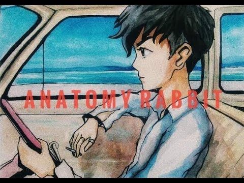 ANATOMY RABBIT - ขับรถเล่น Feat. พลอย The Voice (Official Audio)