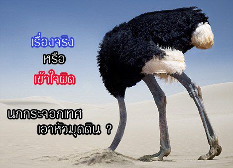 Animal Facts] สำหรับวันนี้เราจะมาค้นหาความจริงของสัตว์อีกหนึ่งชนิดกันครับ  เป็นสิ่งที่ผู้เขียนเองก็เข้าใจผิดมานานหลายปีเลยล่ะ  จะเป็นอะไรนั้นเราไปชมกันเลยครับ 