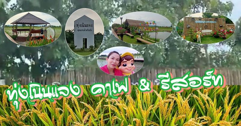 รีวิวร้านอาหารทุ่งเนินแจง คาเฟ่ และท่องเที่ยวเชิงเกษตร